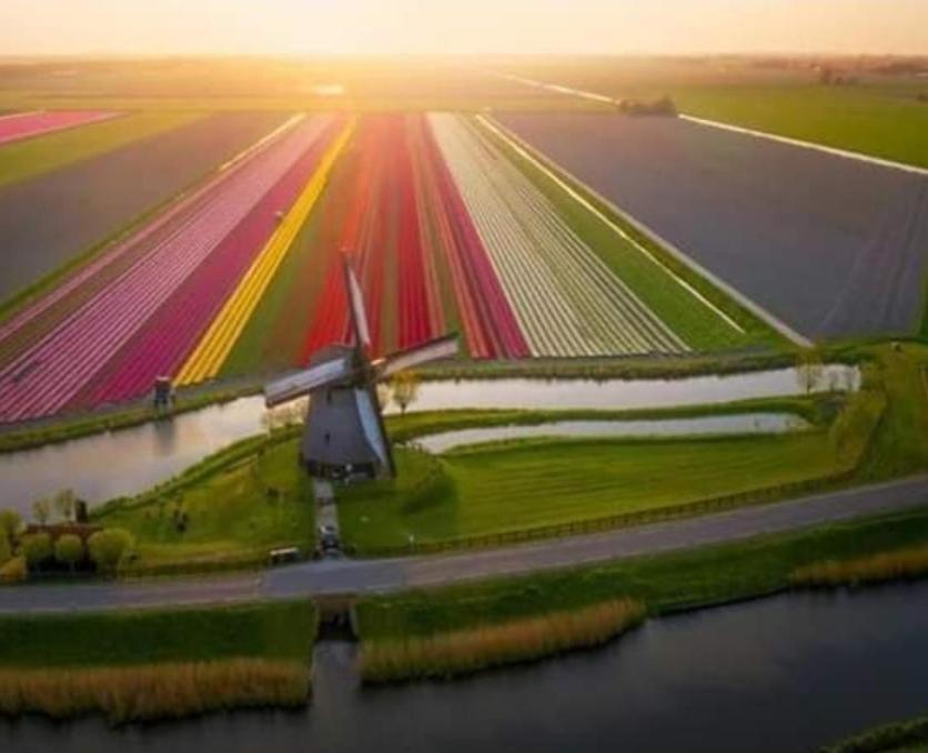 Boathouse At Unescco Fort And Magnificent Lake-View Roelofarendsveen Bagian luar foto